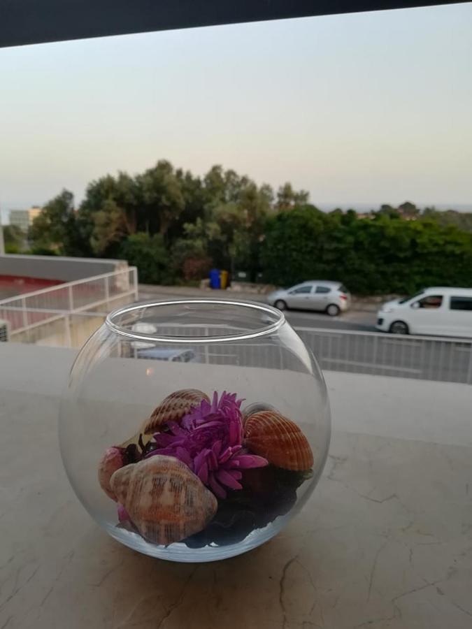 Leut Apartment Dubrovnik Ngoại thất bức ảnh
